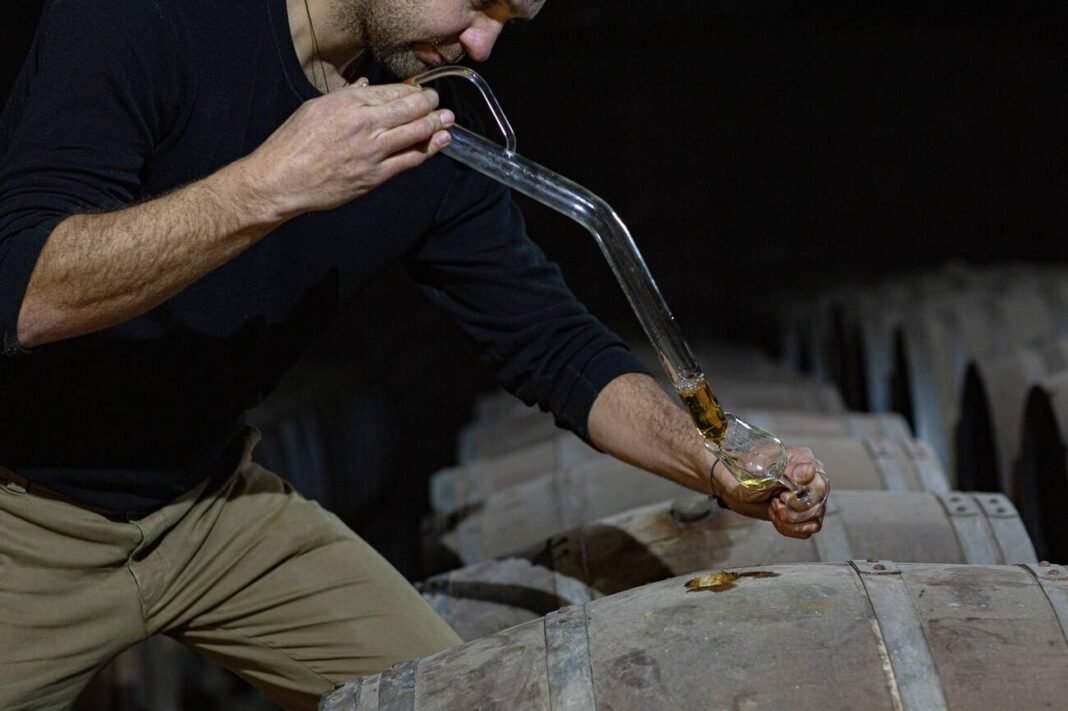 Drawing sample of Scottish Whisky from an oak cask bunghole, using a long glass sampling pipette at Arbikie distillery, Highlands ,Scotland.